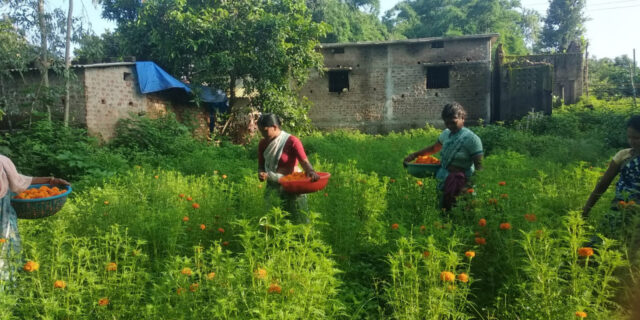 1758210998_9ad4cda025086d4e6598