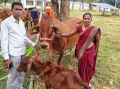 बस्तर संभाग में महिलाएं डेयरी व्यवसाय से बन रही हैं आत्मनिर्भर