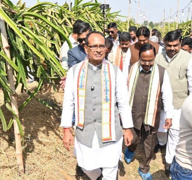 1769877761_36ff83d02ea55500f248