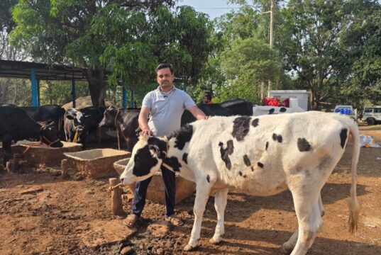 सरगुजा के राजनाथ यादव बने आधुनिक पशुपालन से आत्मनिर्भरता की मिसाल