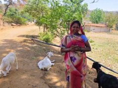 महतारी वंदन योजना से संवर रही पहाड़ी कोरवा परिवारों की तकदीर