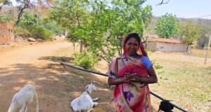 महतारी वंदन योजना से संवर रही पहाड़ी कोरवा परिवारों की तकदीर