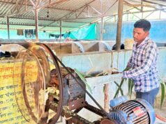 मजदूरी की बेड़ियां तोड़ ‘मल्टी-फार्मिंग’ के नायक बने ललित यादव,6 गायों से शुरू हुआ डेयरी का सफर, आज 25 उन्नत पशुओं के साथ लिख रहे सफलता की इबारत