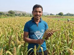 मिलेट से बढ़ी आय, किसानों के जीवन में आई खुशहाली