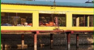 खेत बना आय का केंद्र, नवाचार ने बदली खेती की तस्वीर