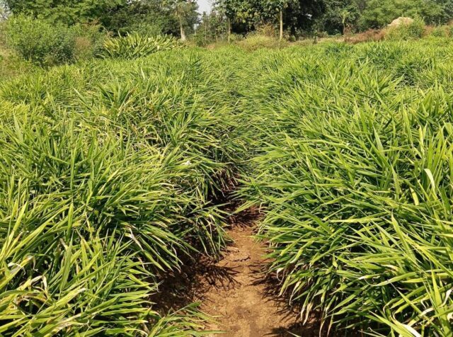 WhatsApp Image 2026-04-07 at 9.34.58 PM