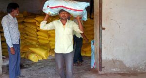 सहकारी समितियों में नियमित रूप से किया जा रहा है खाद, बीज का वितरण