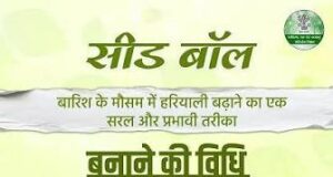 विशेष लेख: सीड बॉल अभियान- हरियाली बढ़ाने का सरल और प्रभावी माध्यम