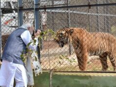 प्रकृति और वन्यजीव संरक्षण का अनूठा संगम है नंदनवन जंगल सफारी