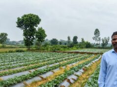 सूक्ष्म सिंचाई योजना से खेती बनी अधिक लाभकारी, ड्रिप सिंचाई अपनाकर किसान ने बढ़ाया सब्जी उत्पादन