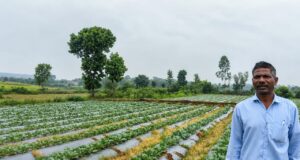 सूक्ष्म सिंचाई योजना से खेती बनी अधिक लाभकारी, ड्रिप सिंचाई अपनाकर किसान ने बढ़ाया सब्जी उत्पादन
