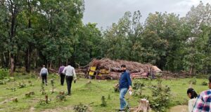 मलेरिया के खिलाफ जंगलों में उतरा स्वास्थ्य महकमा, संवेदनशील इलाकों की परखी तैयारियां