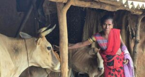 बस्तर के खेतों में बही समृद्धि की बयार