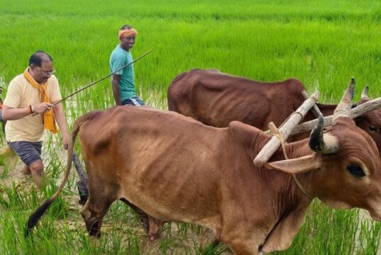 अपनी माटी और खेती-किसानी से मुख्यमंत्री श्री विष्णु देव साय का आत्मीय जुड़ाव