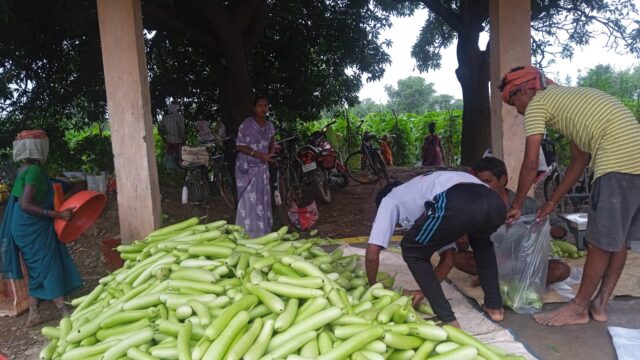WhatsApp Image 2026-09-07 at 2.53.34 PM