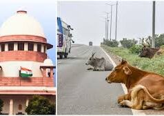 जनहित याचिका: एनएच से मवेशी हटाने को लेकर सुप्रीम कोर्ट ने केंद्र सरकार को नोटिस जारी किया
