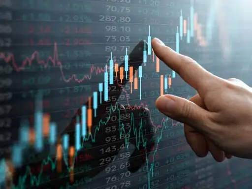 sfbvsfsfb1740228934_1754817461